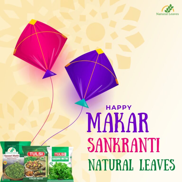 Natural Leaves Kasoori Methi (Kasuri Methi) Dry Fenugreek Leaves