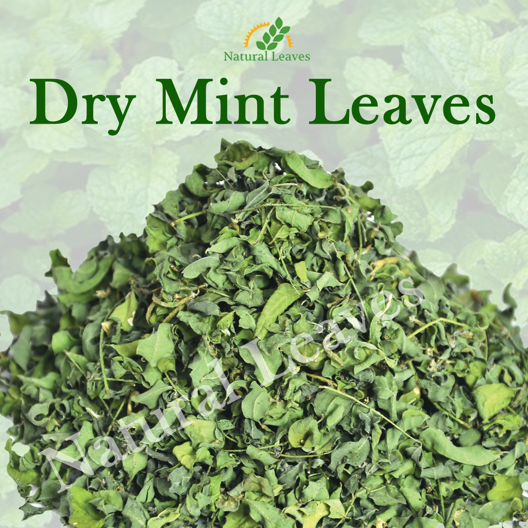 Dry Mint Leaves By Natural LEaves